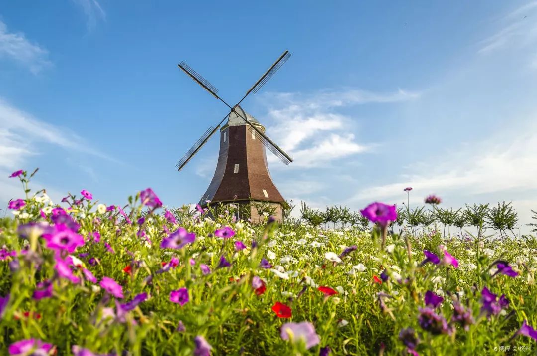 游玩半价票,0元门票玩上海