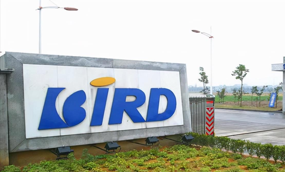 2019年度销量冠军手机,连续六年销量第一手机