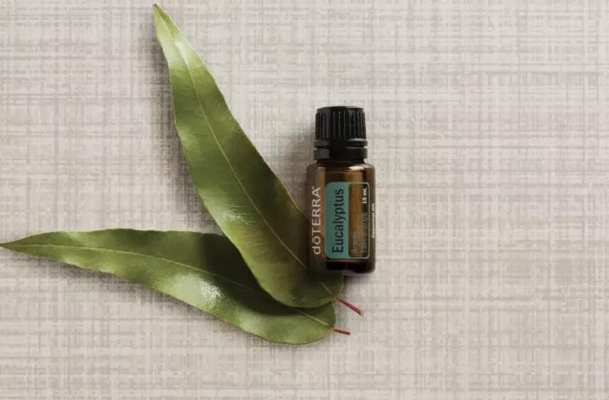 多特瑞精油和youngliving精油,多特瑞精油旅游必带