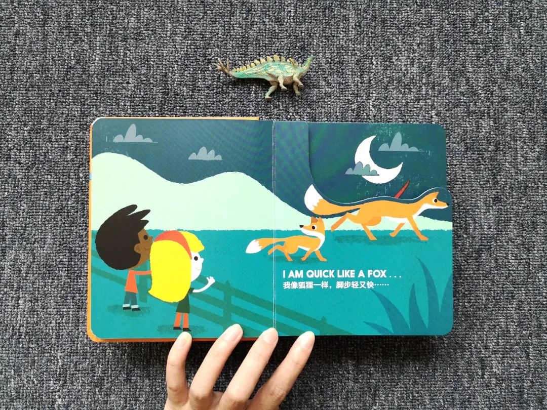 适合孩子看的恐龙科普书,适合5岁孩子看的恐龙科普书