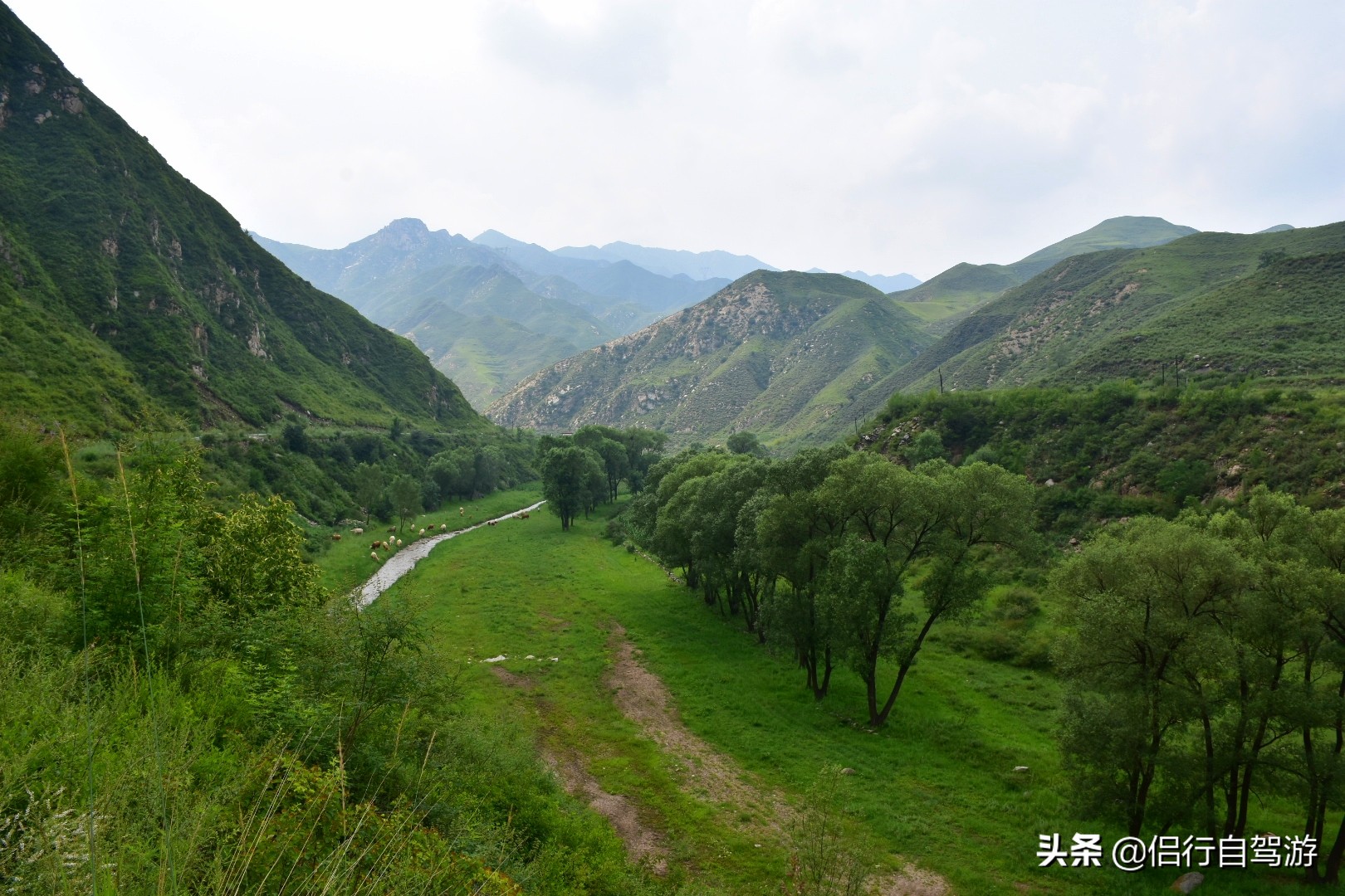 灵丘唐河大峡谷旅游攻略,山西灵丘旅游攻略路线