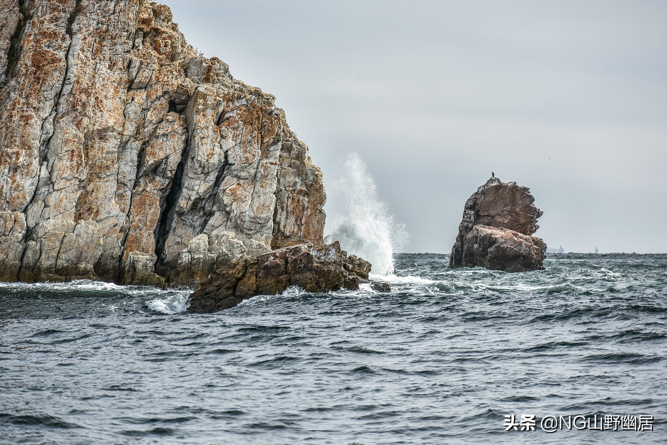 大连海钓黑鲪鱼视频,大连海钓日常巡岸