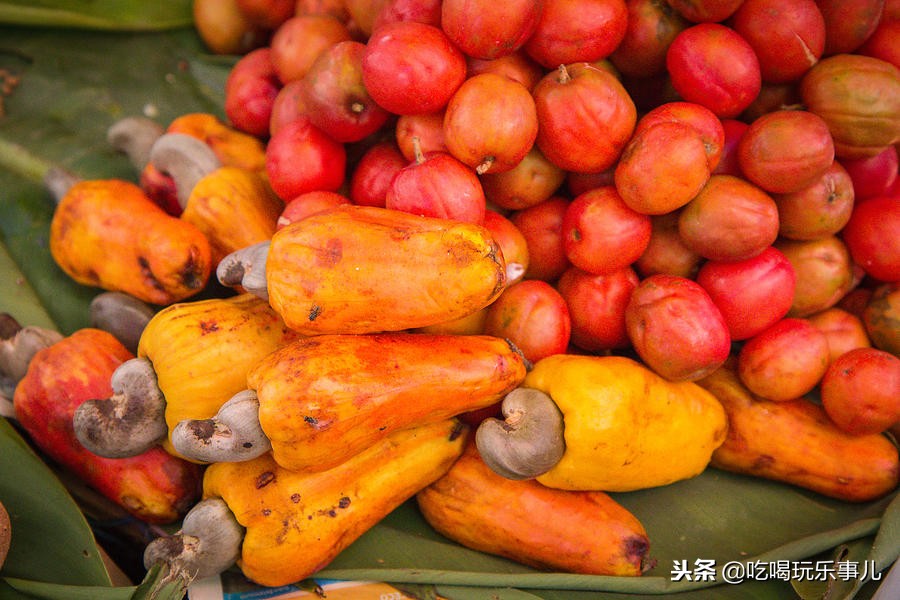 像花生一样好吃的腰果长在树上吗,腰果树上的腰果