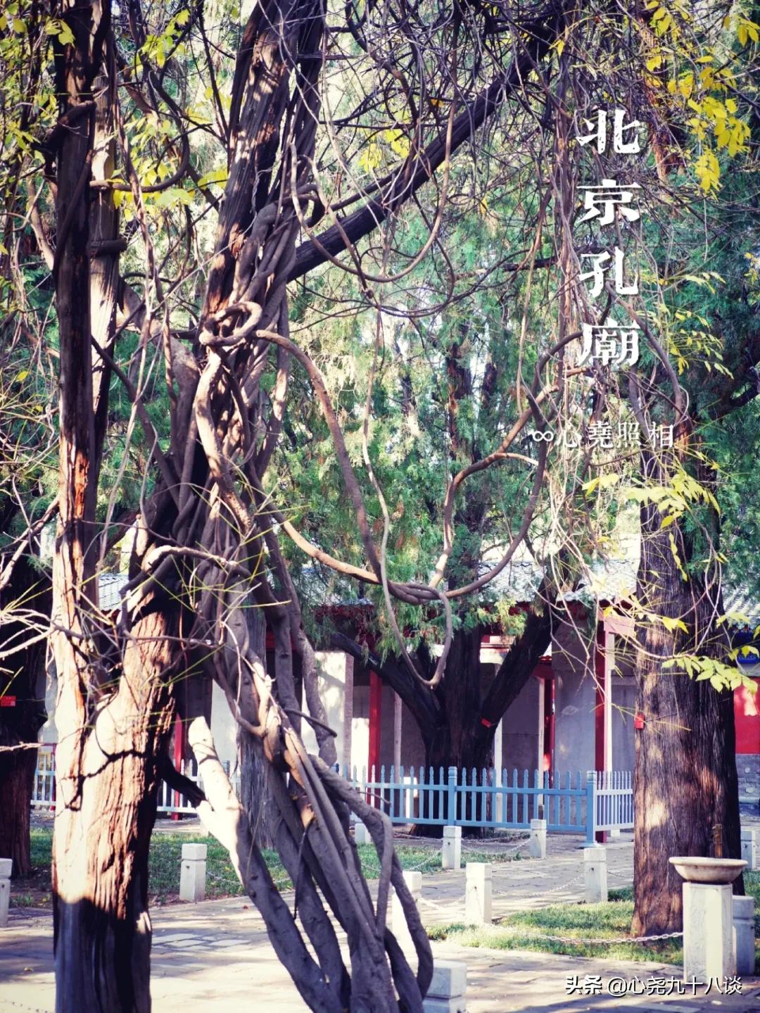 北京孔庙游览攻略,孔庙历经了700多年的历史文化积淀