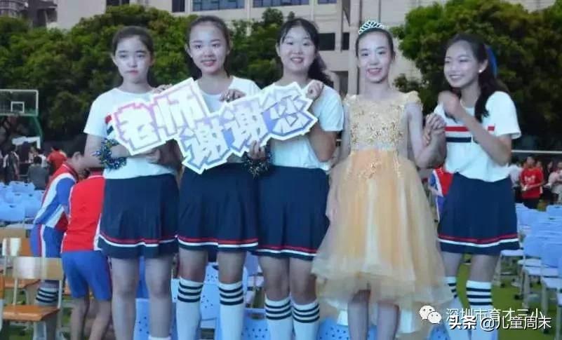 南山蛇口育才一小/二小/三小/四小,哪所更合适你家孩子?