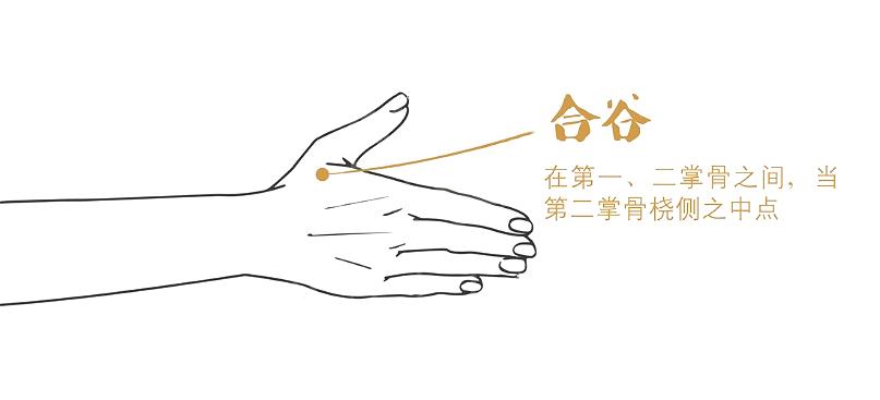 谷雨养生牢记健脾养肝的三个秘诀,春季养肝祛湿最佳方法图片