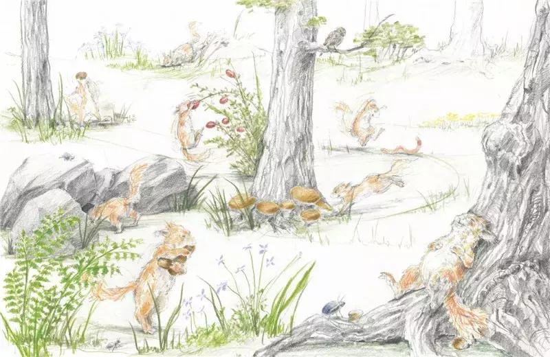 经典绘本故事3-6岁情商 (孩子读这5本绘本越读越聪明)