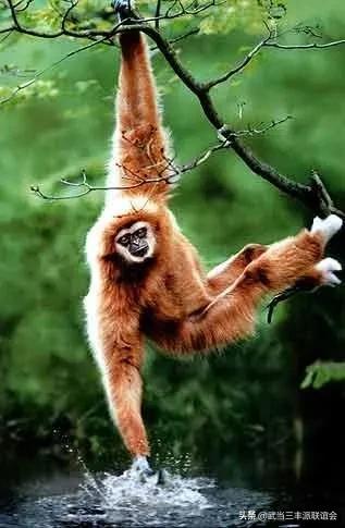 怎样改善头脑血液循环,怎样改善大脑血液循环