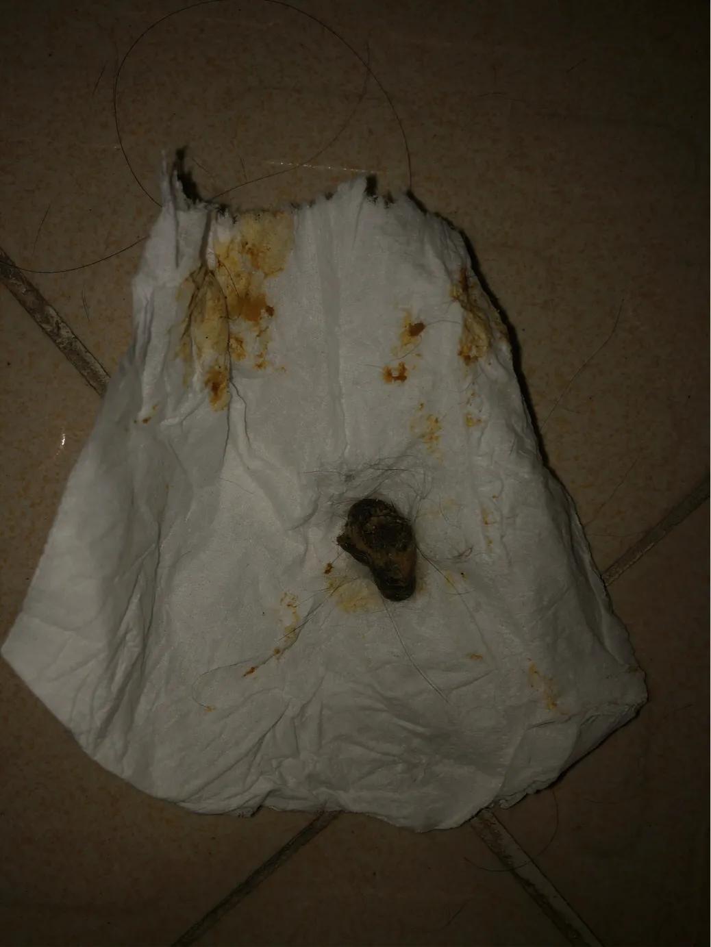 猫猫肠胃炎需要隔离吗,猫猫胃肠炎的症状及治疗方法