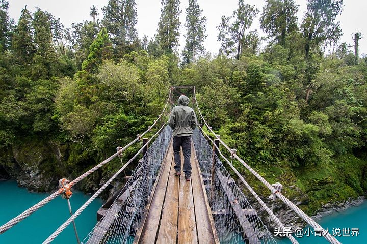 新西兰创业移民真实历程,新西兰的前景如何
