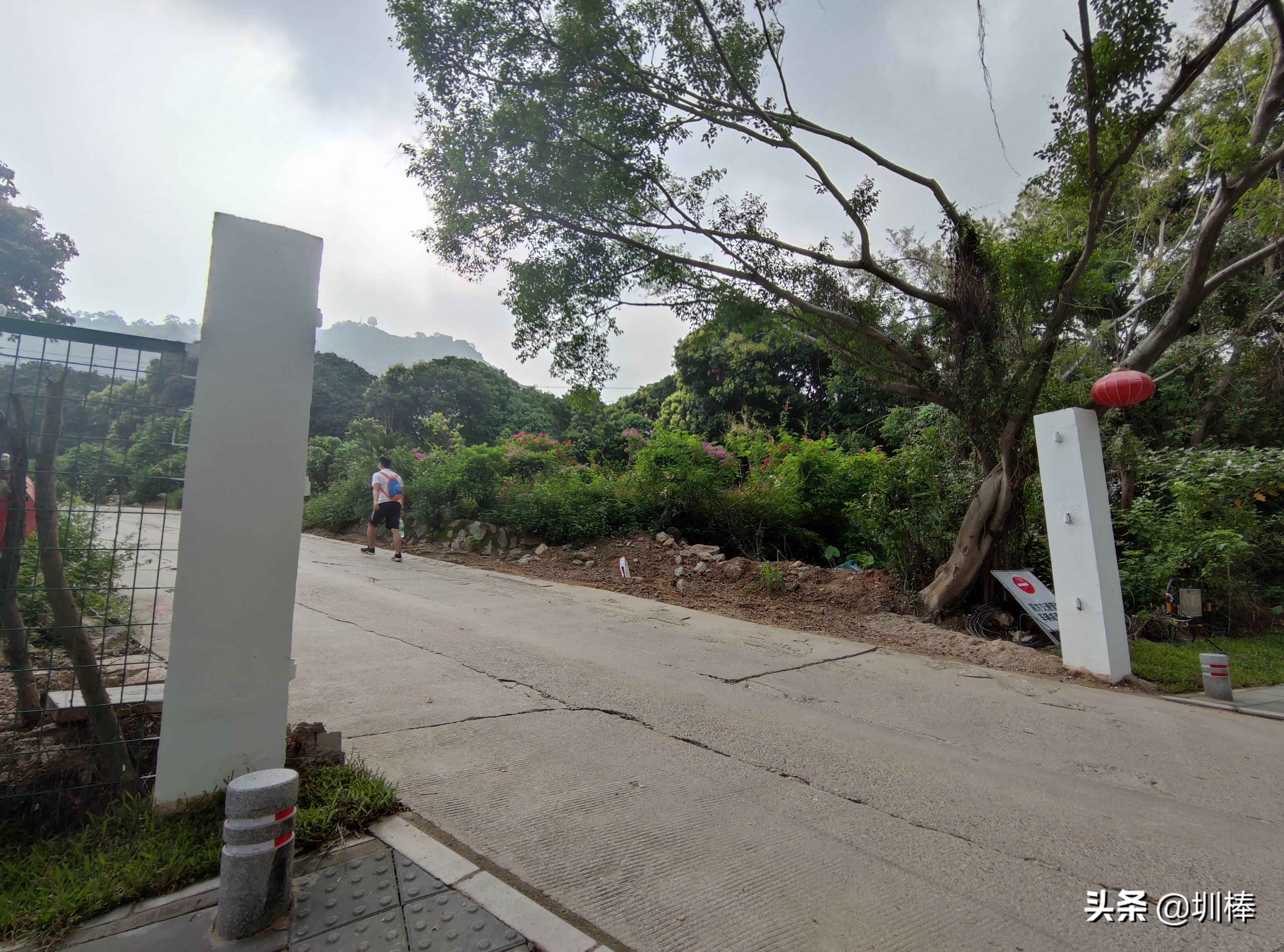 深圳最长的海岸线爬山攻略,凤凰山适合老人孩子的爬山攻略