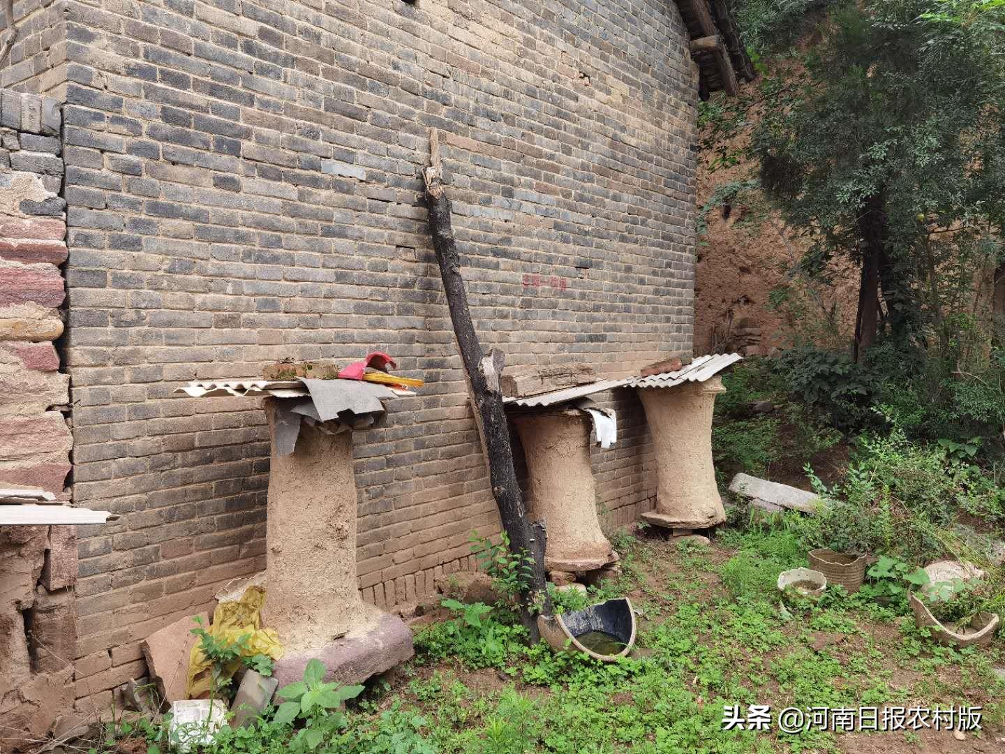 沿着黄河看风景,沿着黄河看对岸白河