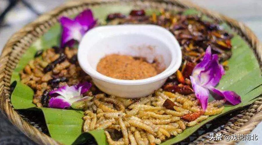 地道美食酥炸竹虫推荐,北方无法接受南方七大美食排行榜