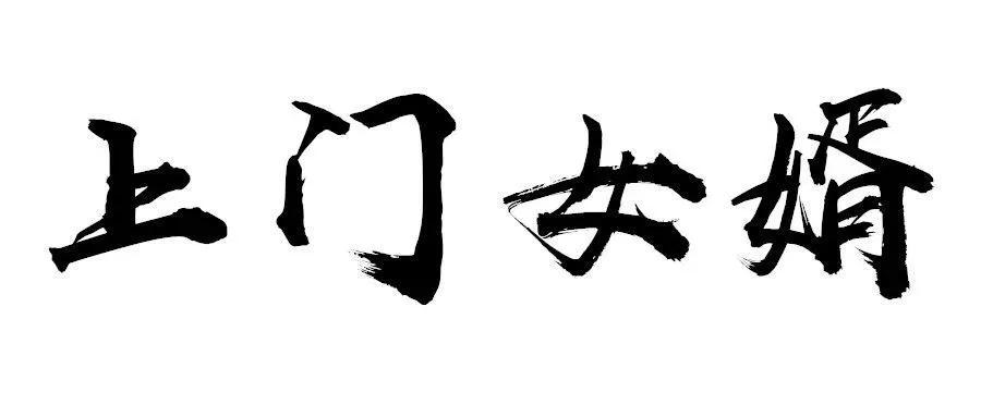 如何评价赘婿的结尾,如何看待赘婿类型小说