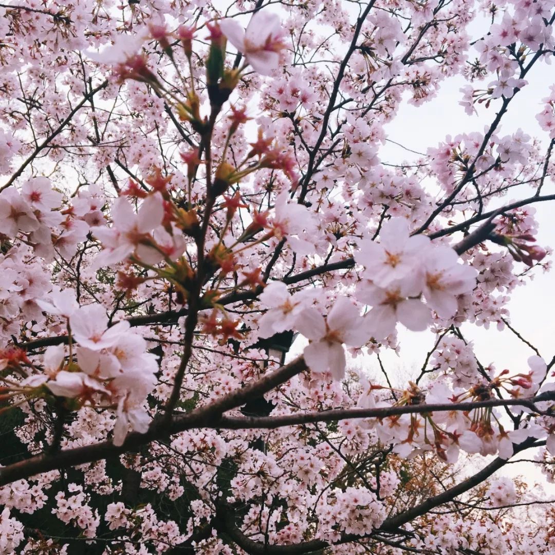 摄影小白适合拍什么,摄影小白拍人像用什么好