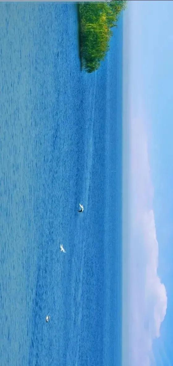 十堰郧阳区属于十堰的什么地方,湖北省十堰市郧阳区郧城市花园