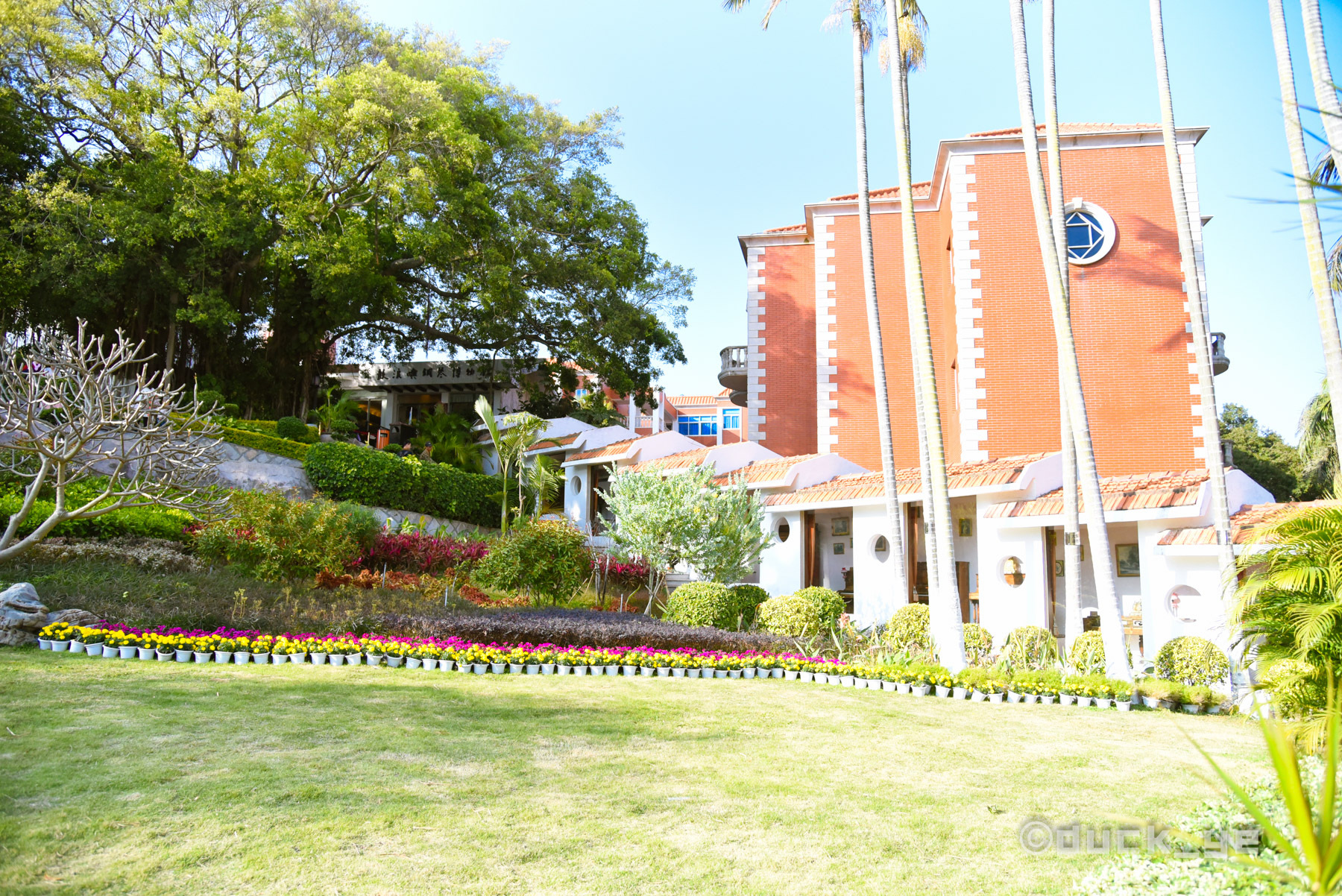 厦门本地人鼓浪屿旅游攻略,本地人带游客去鼓浪屿去哪个码头