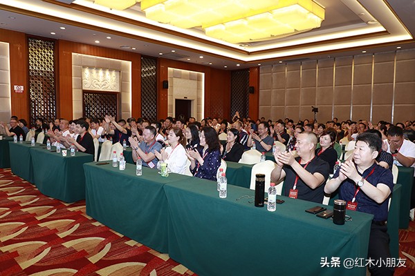 中信红木最新排名,中信红木官网