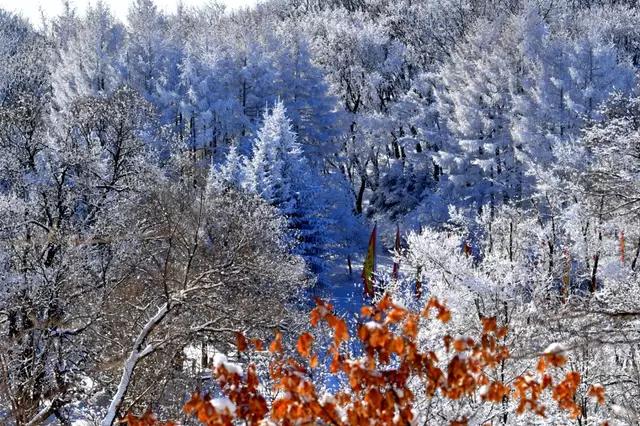 吉林省通化市柳河,吉林通化县柳河