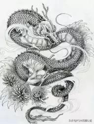 龙角散日本代购,龙角散日本代购小铝盒