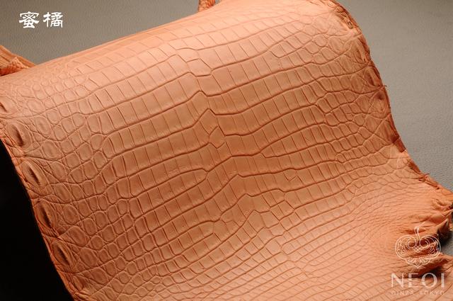 鳄鱼皮包包知识,鳄鱼怎么挑选