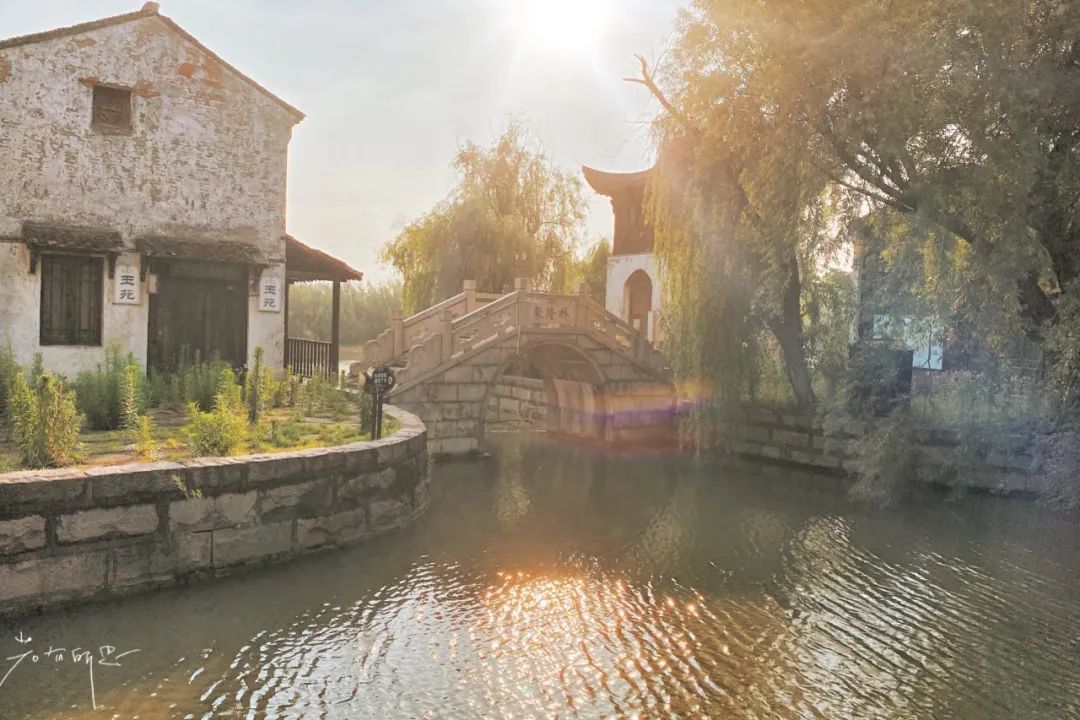 娌欏娴滅殑绱壊鑺辨捣,娌欏娴滈鏅尯鑺辨捣