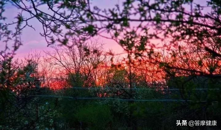 阴转阳可以治愈吗,中医里阳病阴病