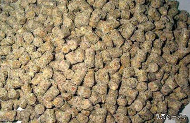 奶牛喂什么饲料,饲料喂奶牛