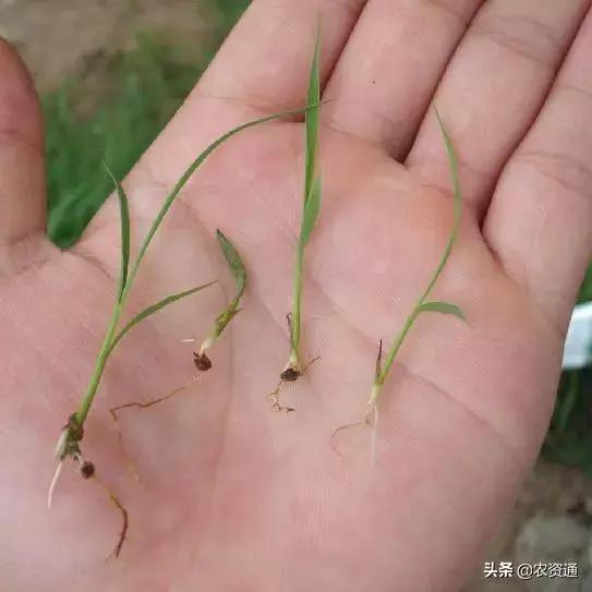 <html>
<head><title>502BadGateway</title></head>
<body>
<center><h1>502BadGateway</h1></center>
<hr><center>nginx</center>
</body>
</html>
<!--apaddingtodisableMSIEandChromefriendlyerrorpage-->
<!--apaddingtodisableMSIEandChromefriendlyerrorpage-->
<!--apaddingtodisableMSIEandChromefriendlyerrorpage-->
<!--apaddingtodisableMSIEandChromefriendlyerrorpage-->
<!--apaddingtodisableMSIEandChromefriendlyerrorpage-->
<!--apaddingtodisableMSIEandChromefriendlyerrorpage-->
