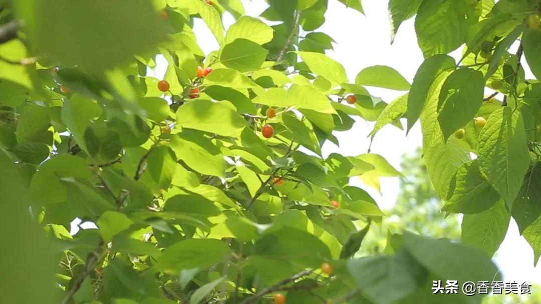 五一节特别篇,五一节推送