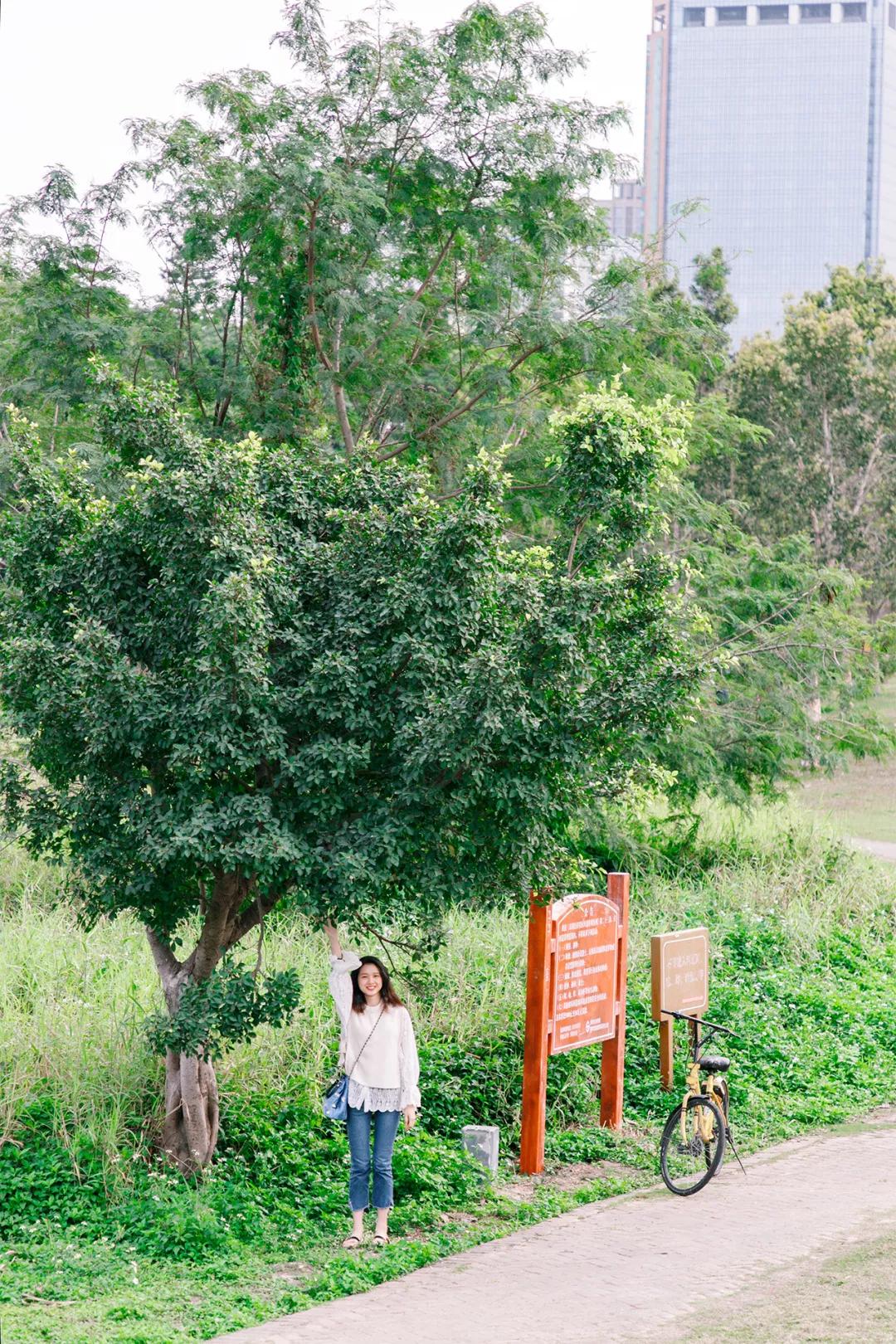 重庆轨道3号线,贵阳地铁3号线