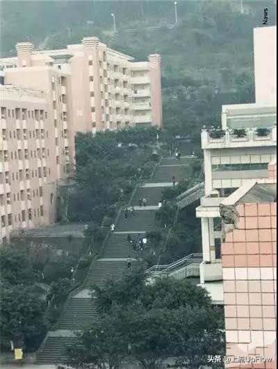 大学选不对专业就是白读,大学选不进科的后果