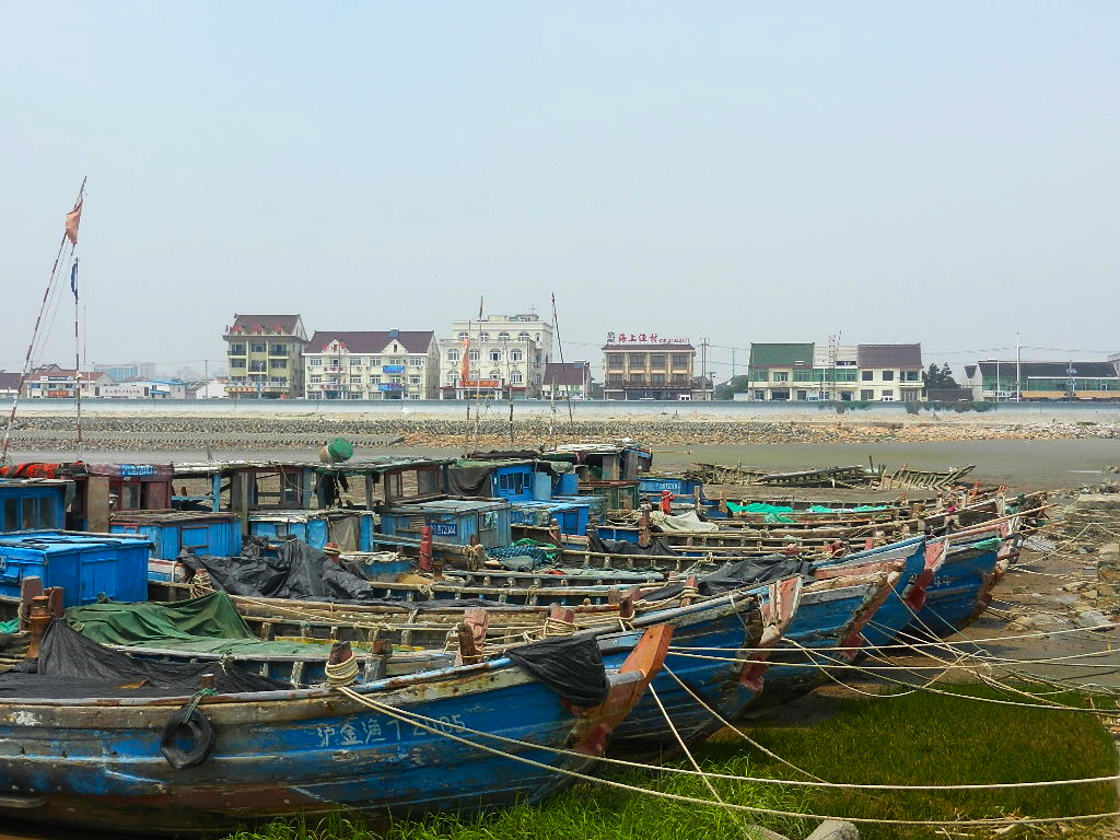 上海本地人都去哪吃海鲜,上海去哪里吃实惠而又正宗的海鲜