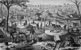 澳大利亚的牛奶为什么便宜,澳大利亚十大知识