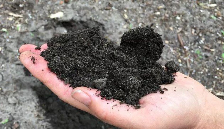 买测酸性碱性的试纸,ph试纸怎么测土壤酸碱度