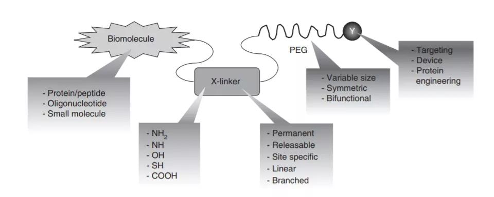 生物药物分析网课,生物药物分析和化学药物分析区别