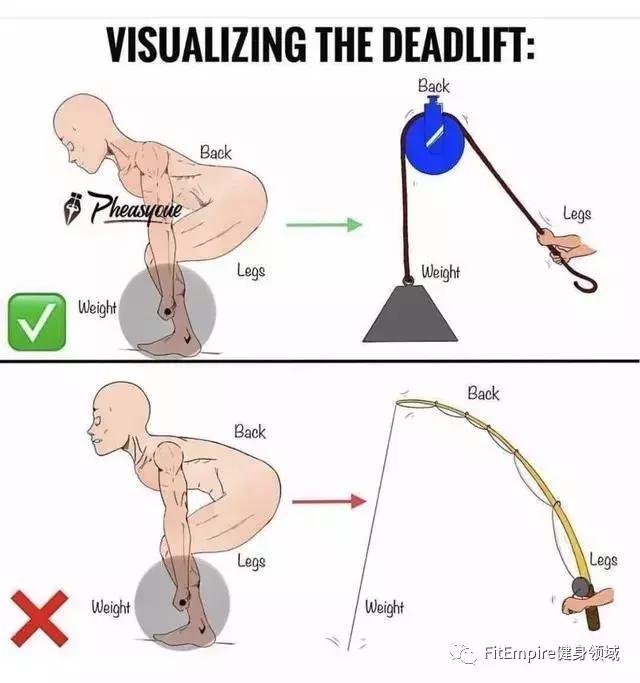 如何提高深蹲伸髋力量,深蹲和硬拉锻炼的肌肉部位图