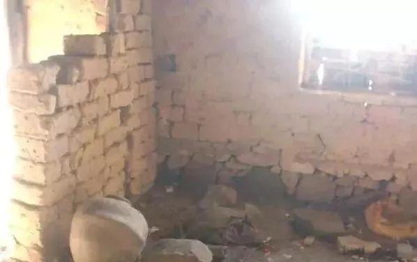 巨婴为什么是父母的溺爱,中国式溺爱6个表现