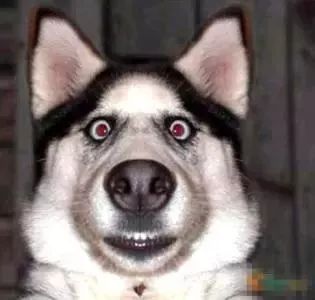 去电力设计院工作有前途吗,电力设计院每天都干什么