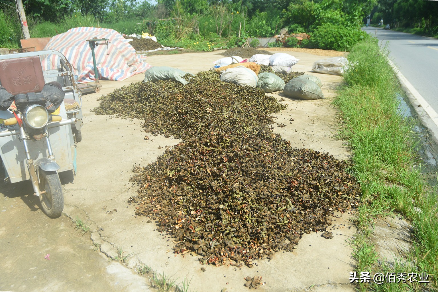 茅台泡沫破灭会有什么后果,茅台酒炒作泡沫会破灭吗