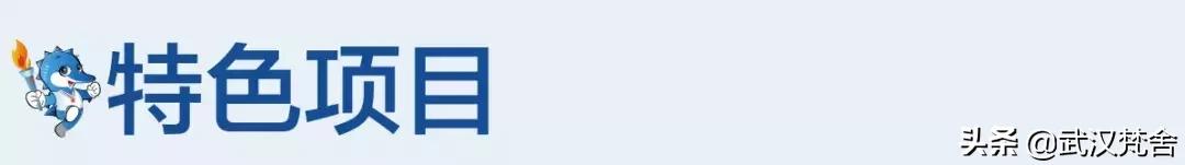 2019武汉军运会全程,武汉2019军运会回顾