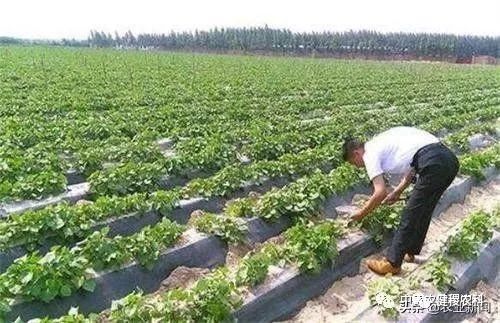 藏在农村不起眼的17个暴利商机,农村不起眼的商机