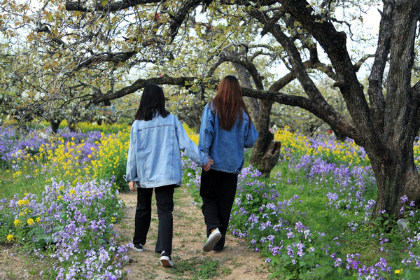 春游江淮请你来滁州版,春游江淮等您来