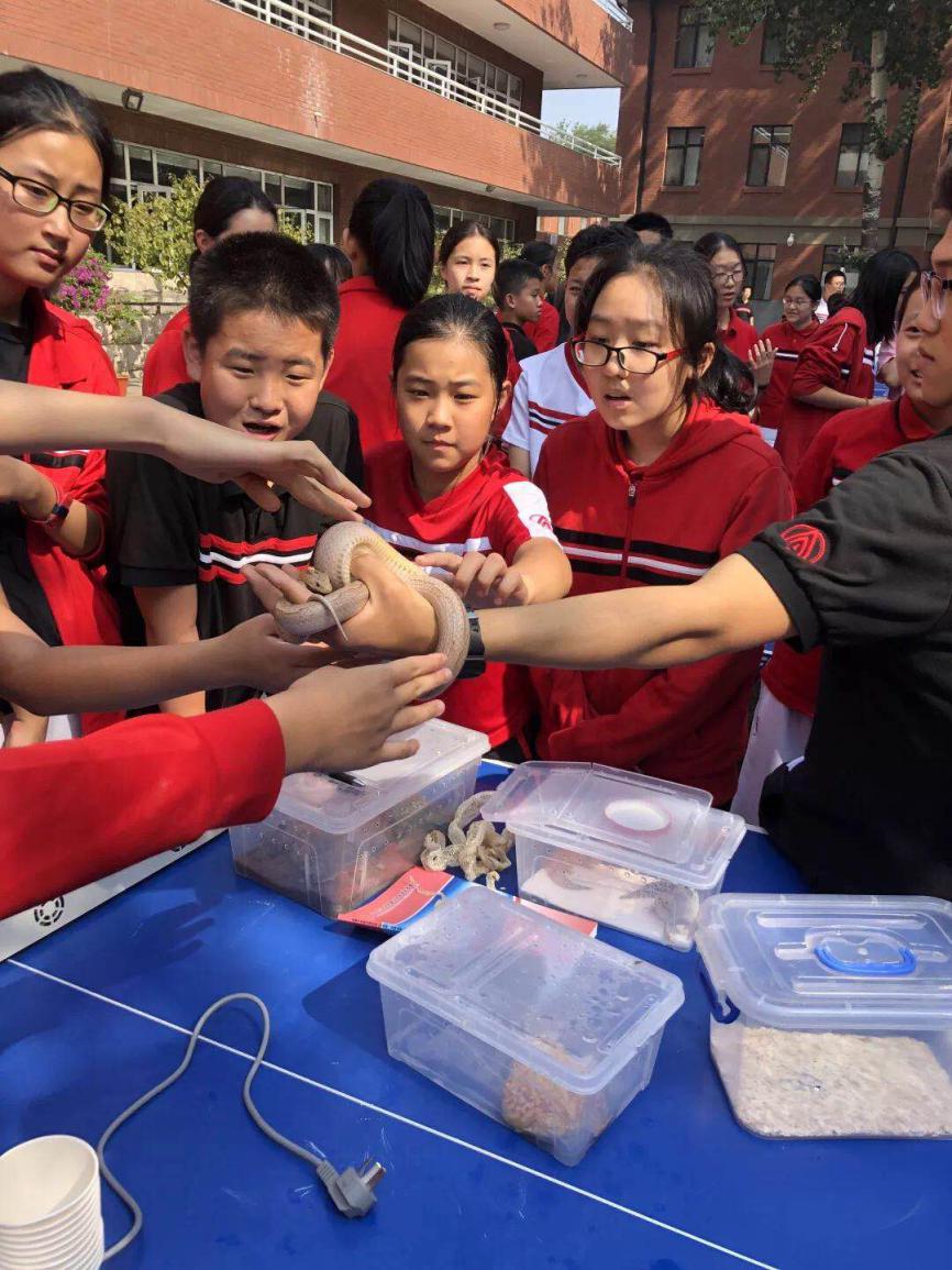 李晓辉北师大实验中学校长,北师大附中李晓辉