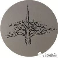 盆景结顶的形式,最好的盆景结顶方法