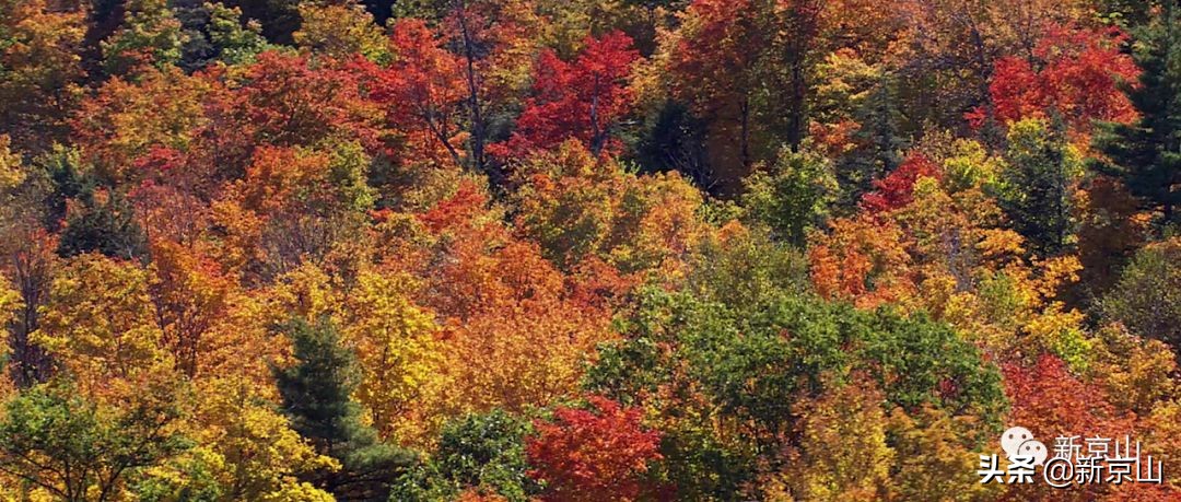 京山凉爽的旅游景点有哪些,生态京山景点