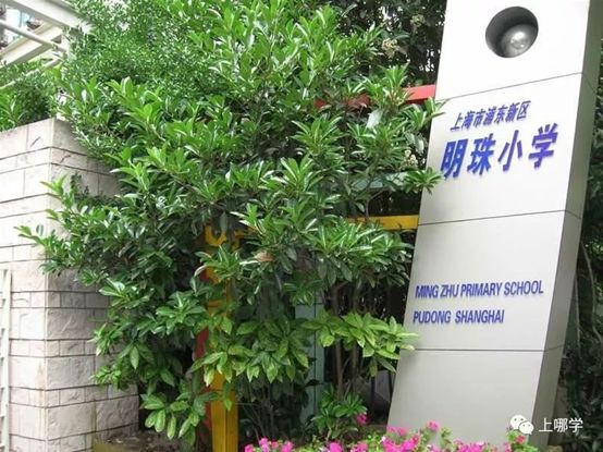 上海小学公办摇号浦东新区,浦东哪些小学值得摇号