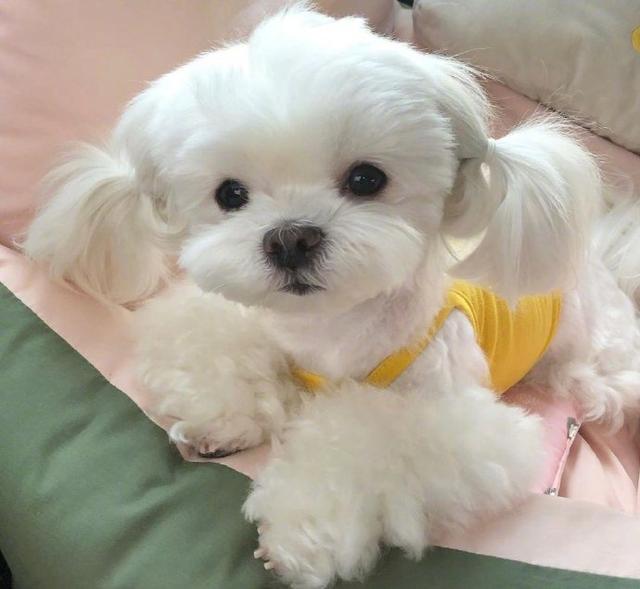 能让人笑到肚子疼的笑话简短,幽默笑死人的短句笑话大全