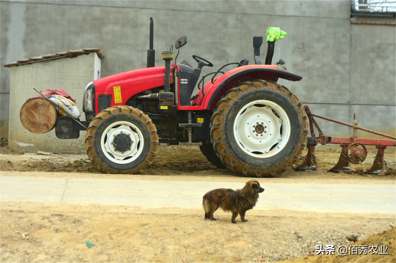 农村人过年回家,农村人最关注的是什么
