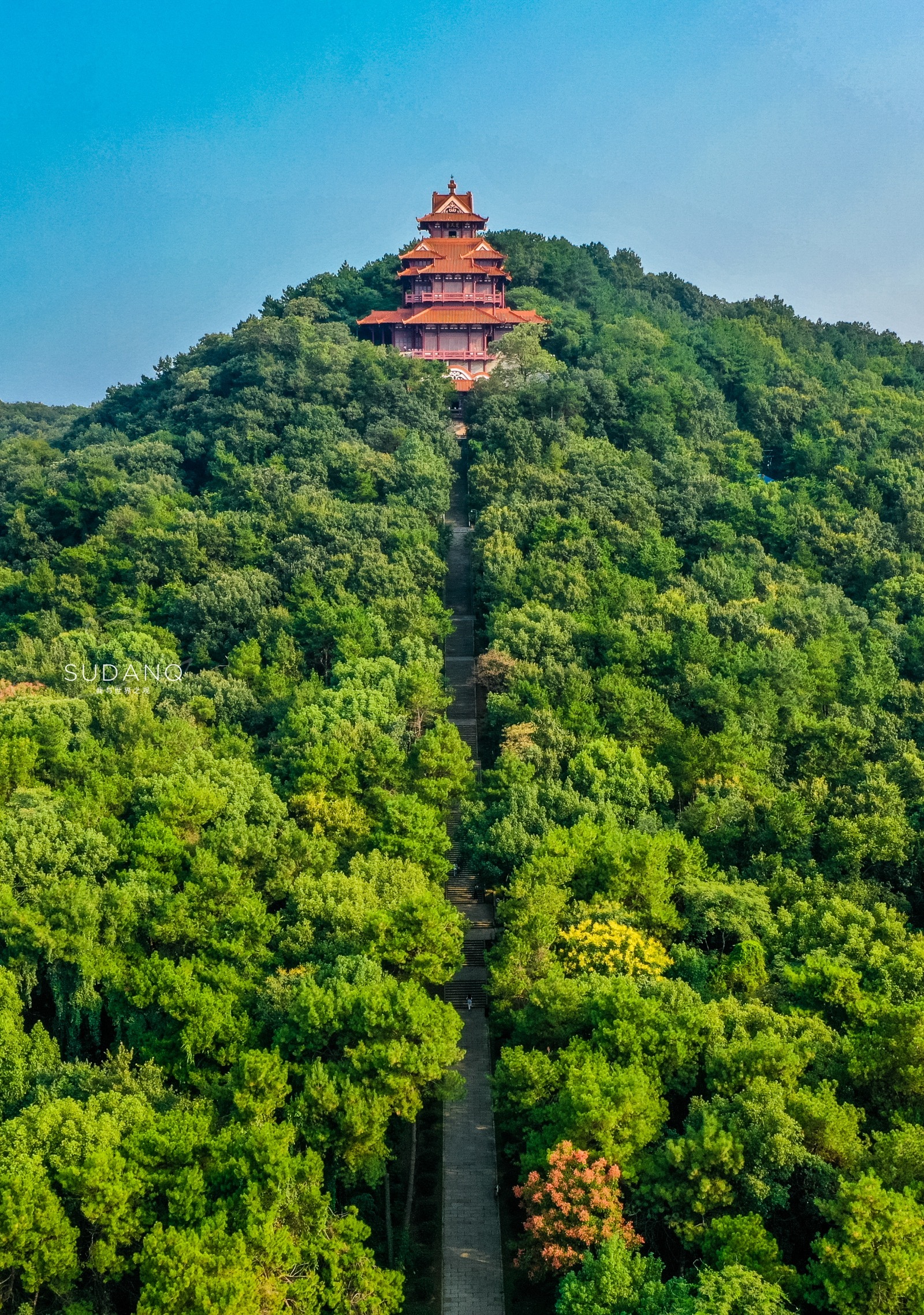 武汉这座城市有什么特点,一句话点评武汉楼市